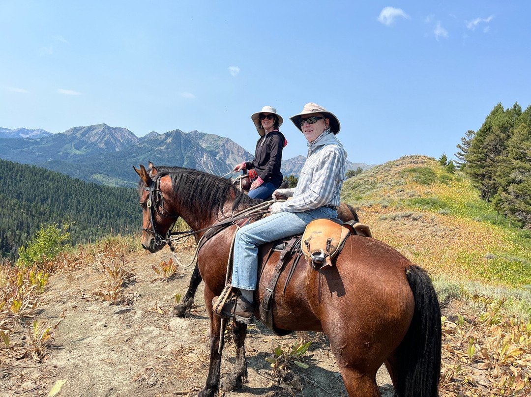 Jackson Hole Outfitters-Alpine必去景点