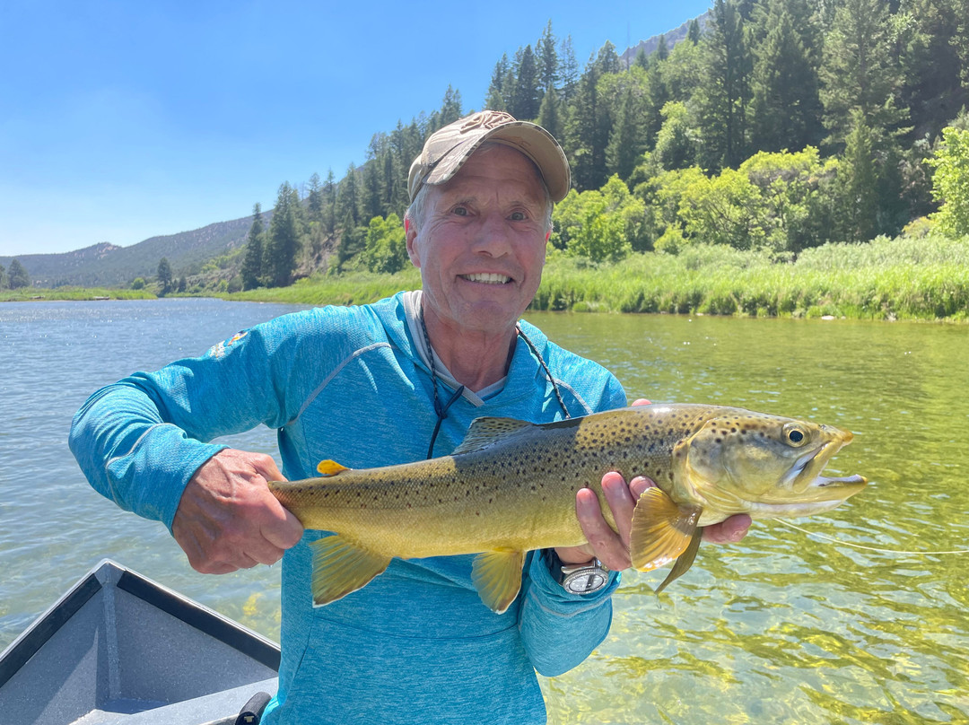 Spinner Fall Guide Service-Dutch John必去景点