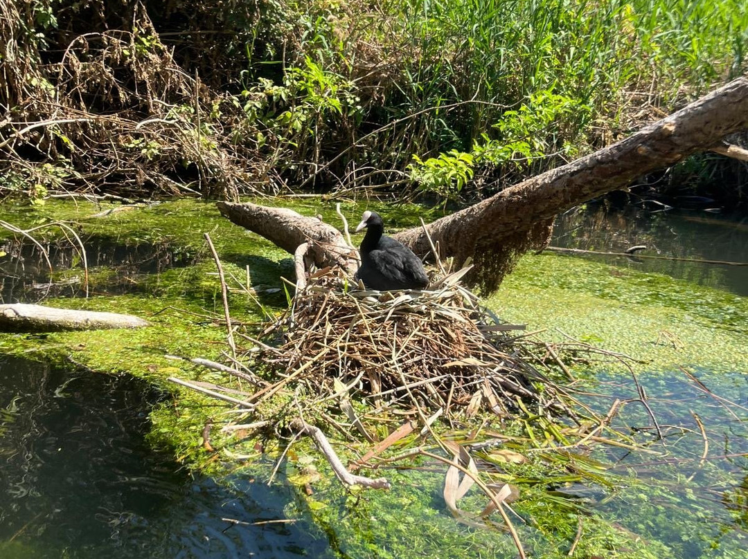 Canoa Sul Tirino - Abruzzo Wild景点图片