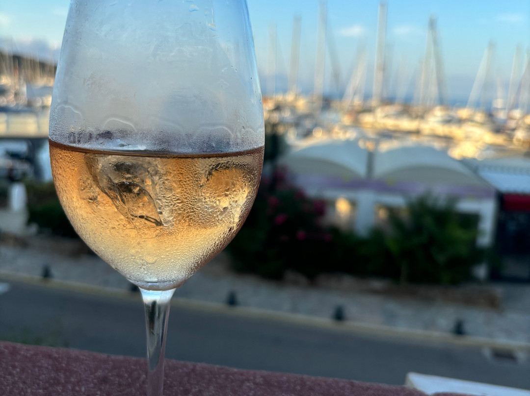 DOMAINE TERRA di CATONI景点图片