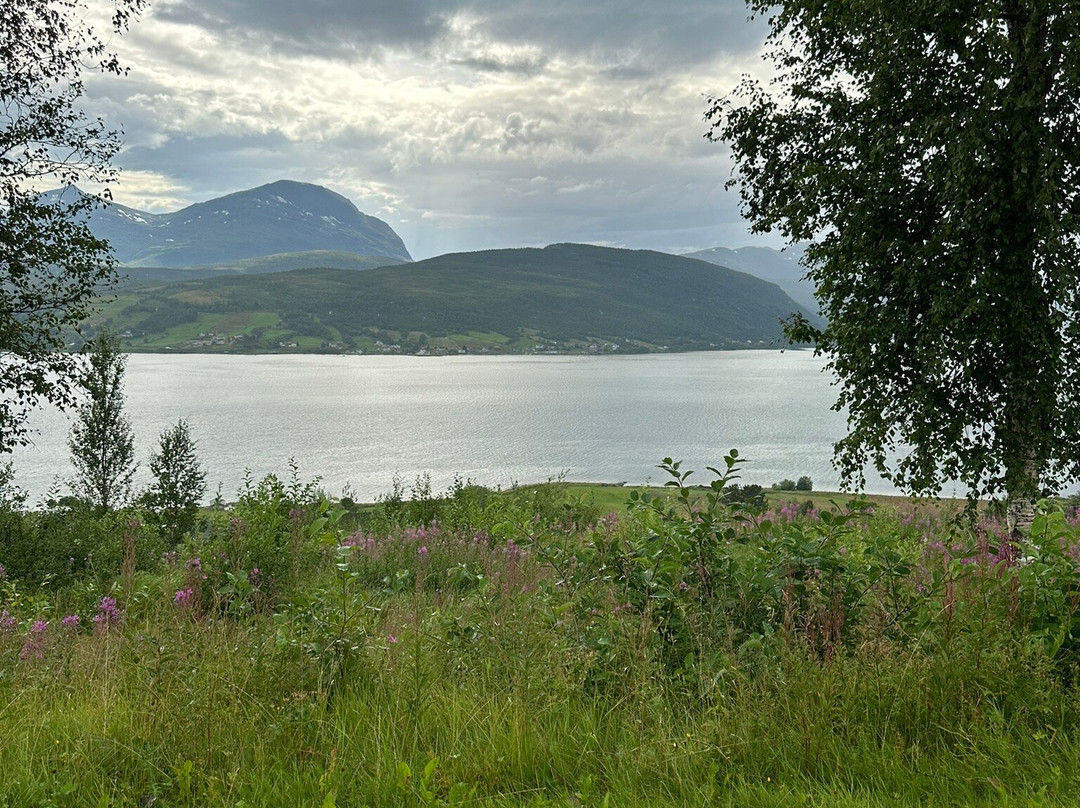 Fjellkysten hotel主图
