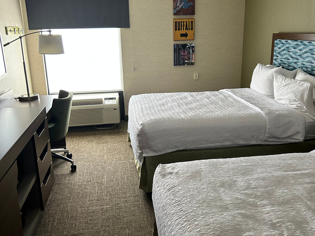 南水牛城/I-90希尔顿恒庭酒店主图