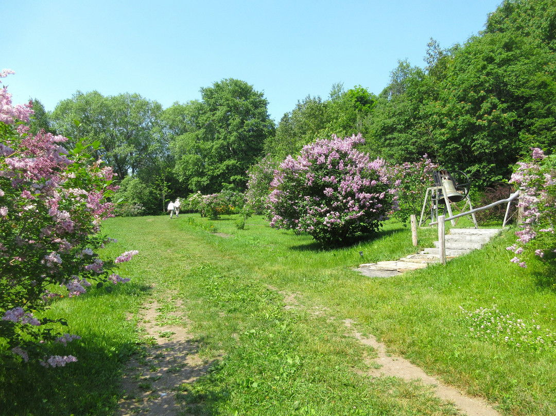 Les Jardins du Cap à l'Aigle-拉马尔拜必去景点