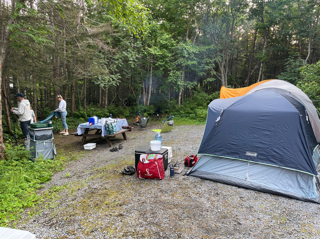 Berry Hill Campsite