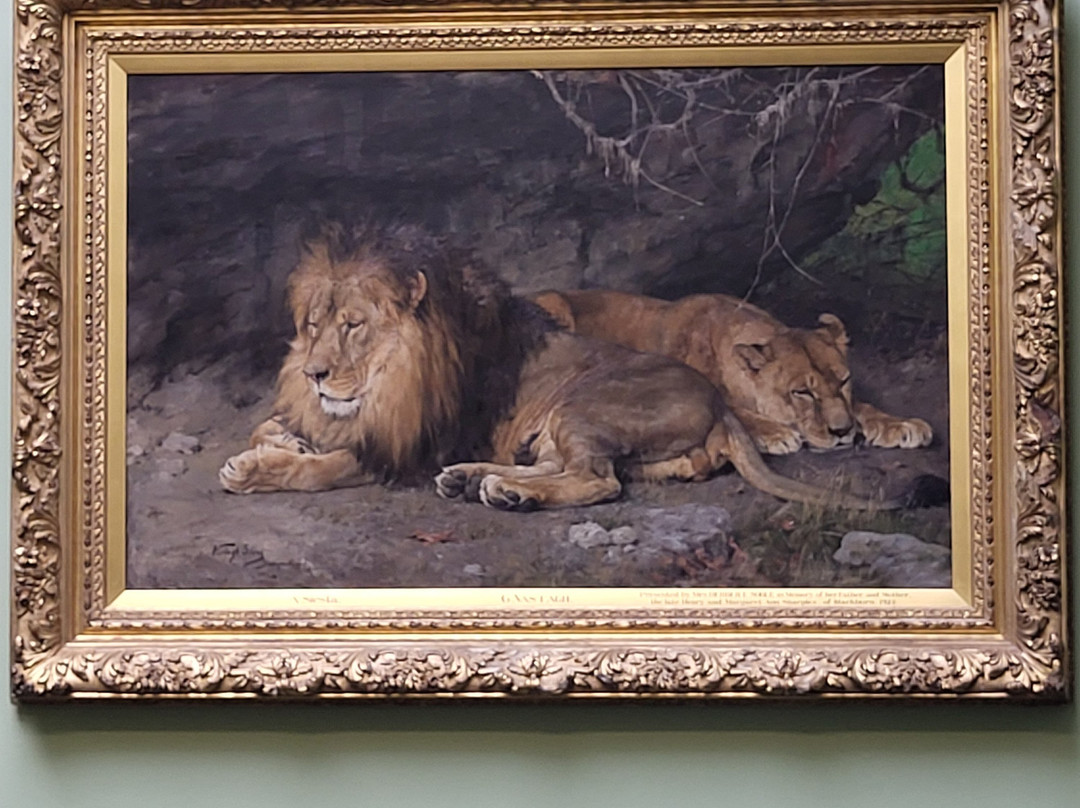 Blackburn Museum & Art Gallery景点图片