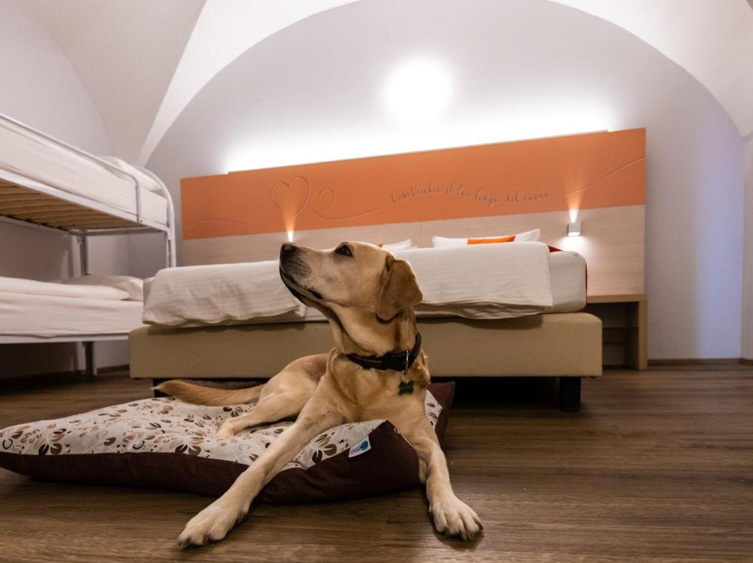 Camping Albergo Casavecchia主图