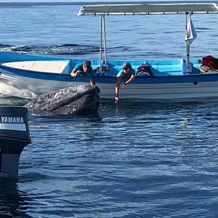 Hotel Alcatraz - San Carlos主图