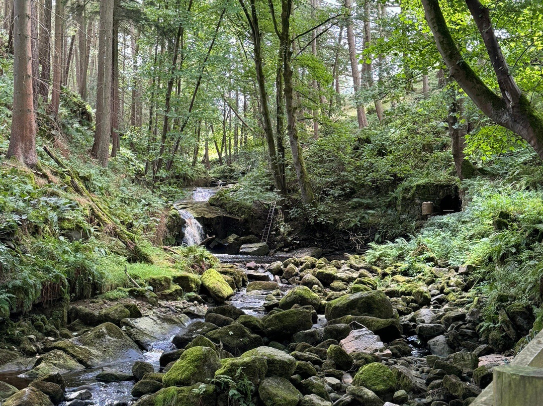 Studfold Adventure Trail景点图片
