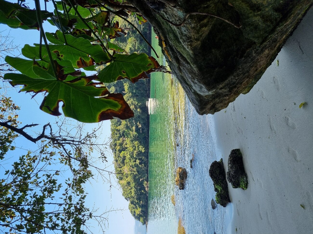 Tanguazinho Beach景点图片