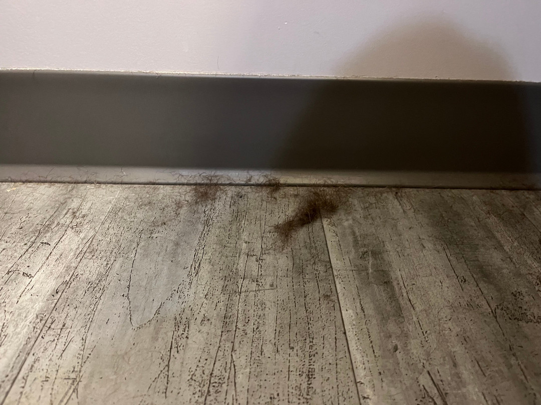 Days Inn by Wyndham Calgary North Balzac主图