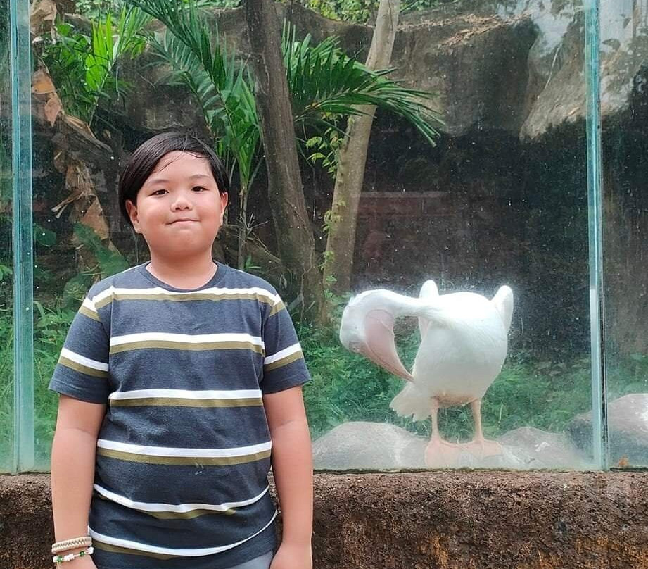 Clark Safari And Adventure Park景点图片