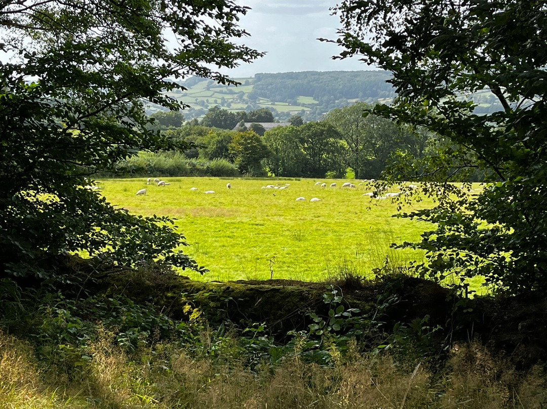 Ferne Animal Sanctuary-Chard必去景点