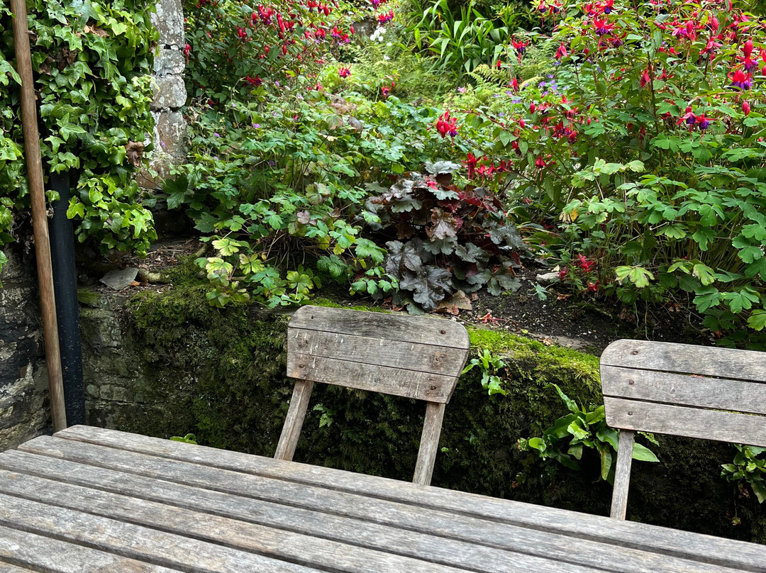 Docton Mill Gardens & Tea Rooms景点图片