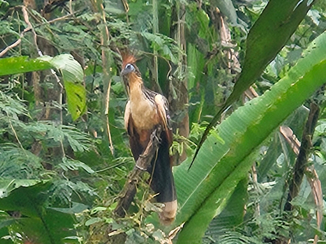 Amazon Peru Travellers-库斯科必去景点