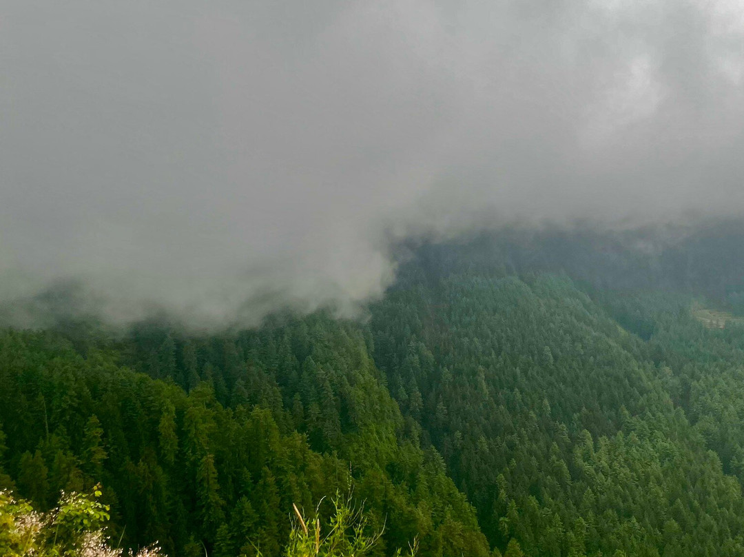 de Exotica Crest Resort & Spa主图