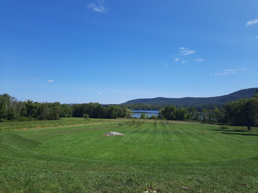 Balderdash Cellars-Richmond必去景点