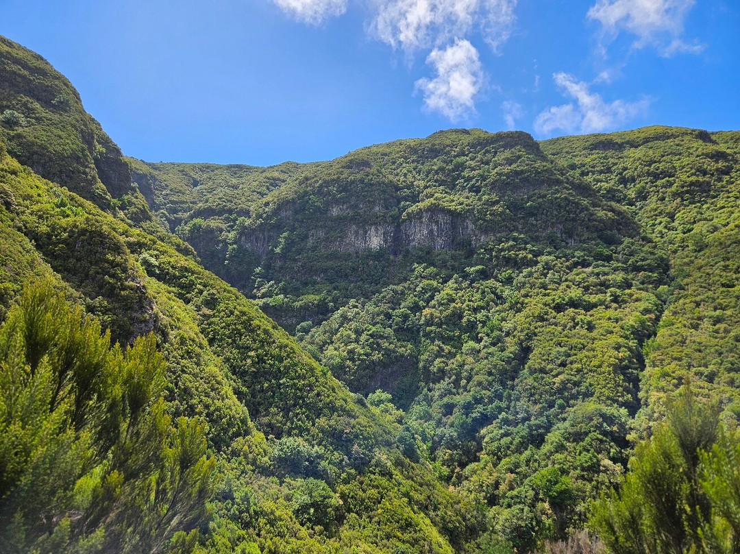 Madeira Adventure Kingdom-沙尔必去景点