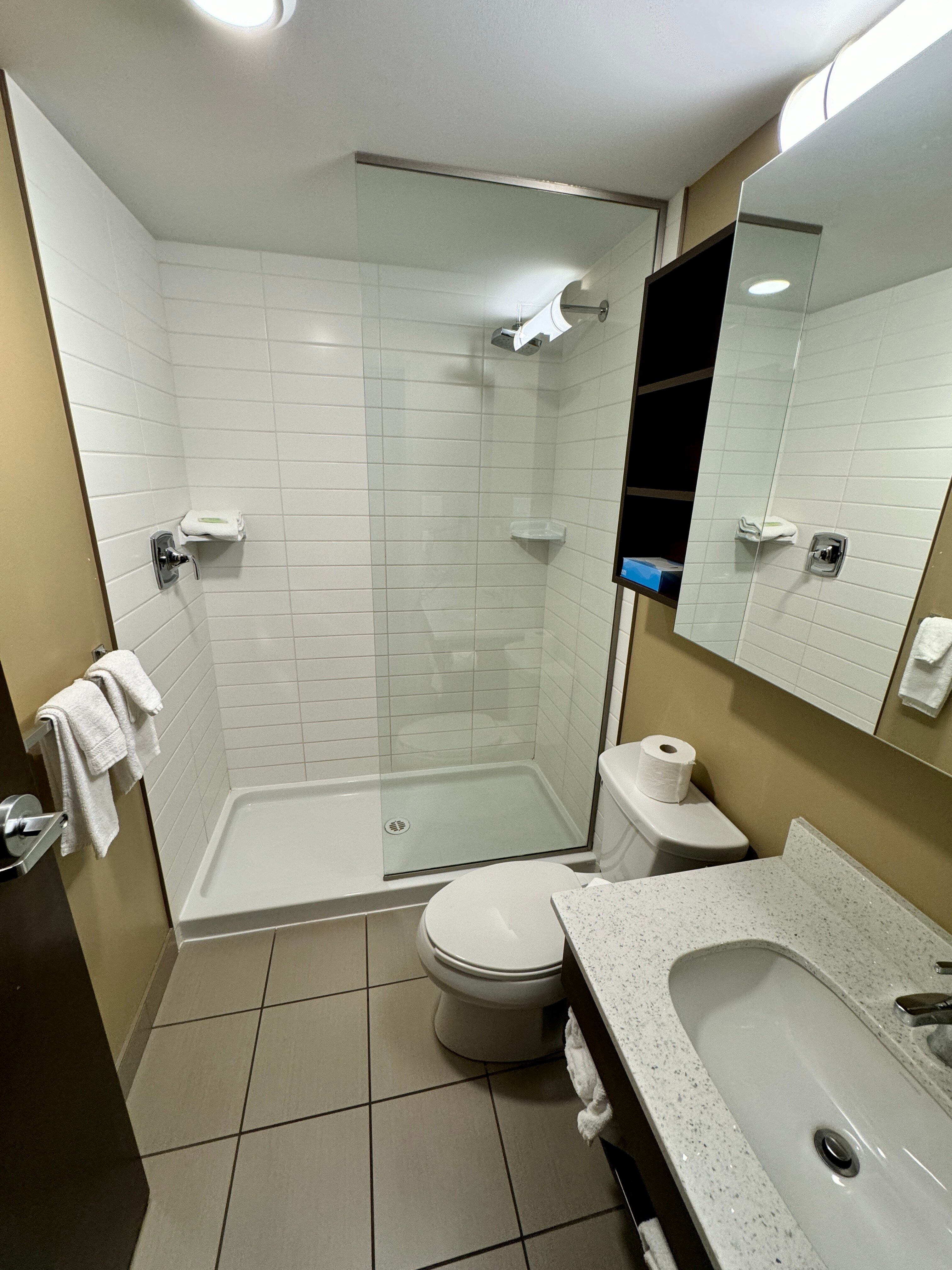 Microtel Inn & Suites by Wyndham Red Deer-浴室