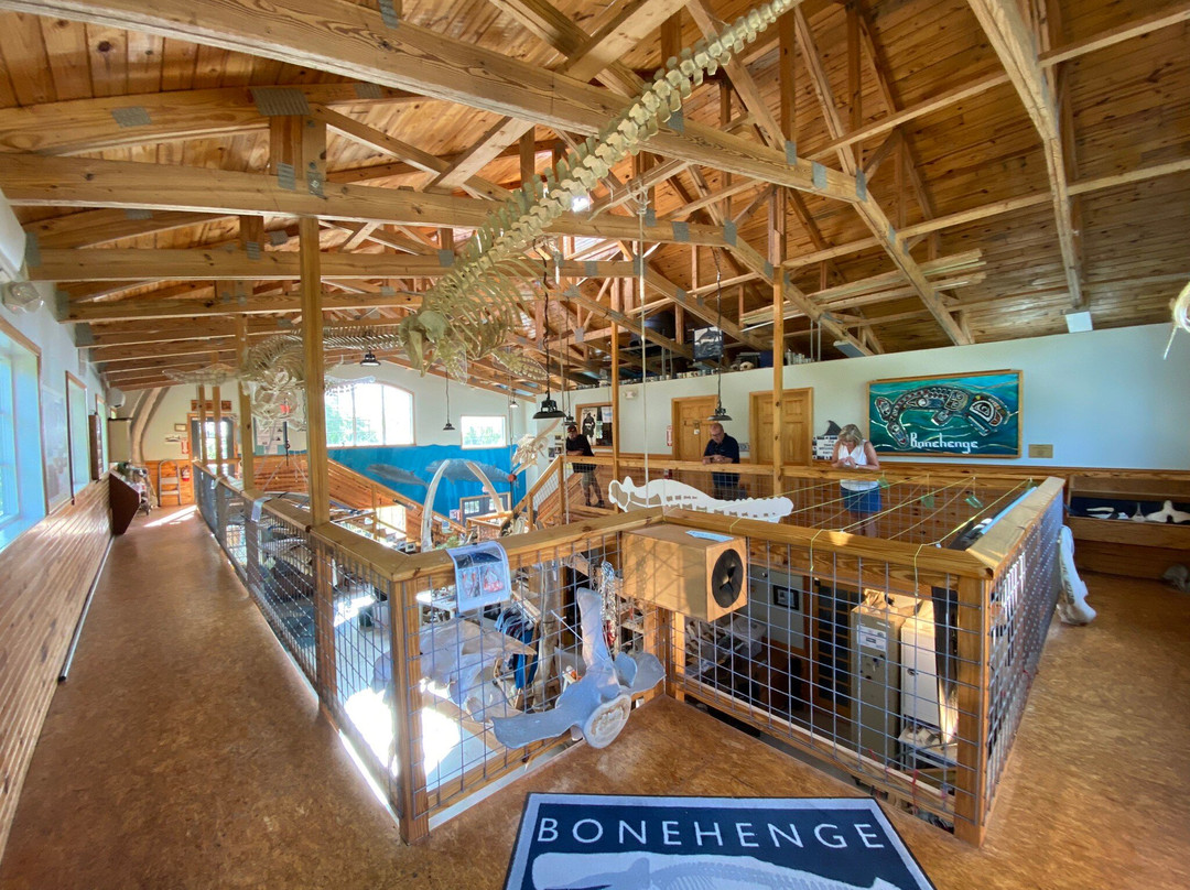 Bonehenge Whale Center景点图片