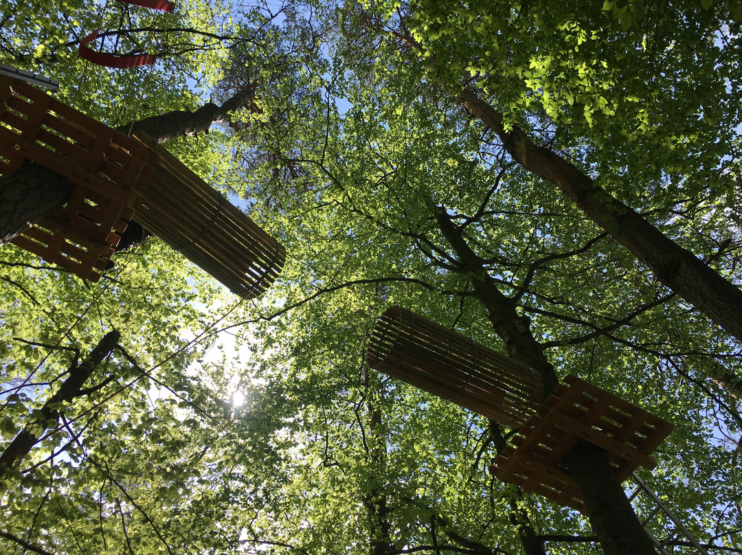 Kletterpark Stuttgart Schmellbachtal景点图片