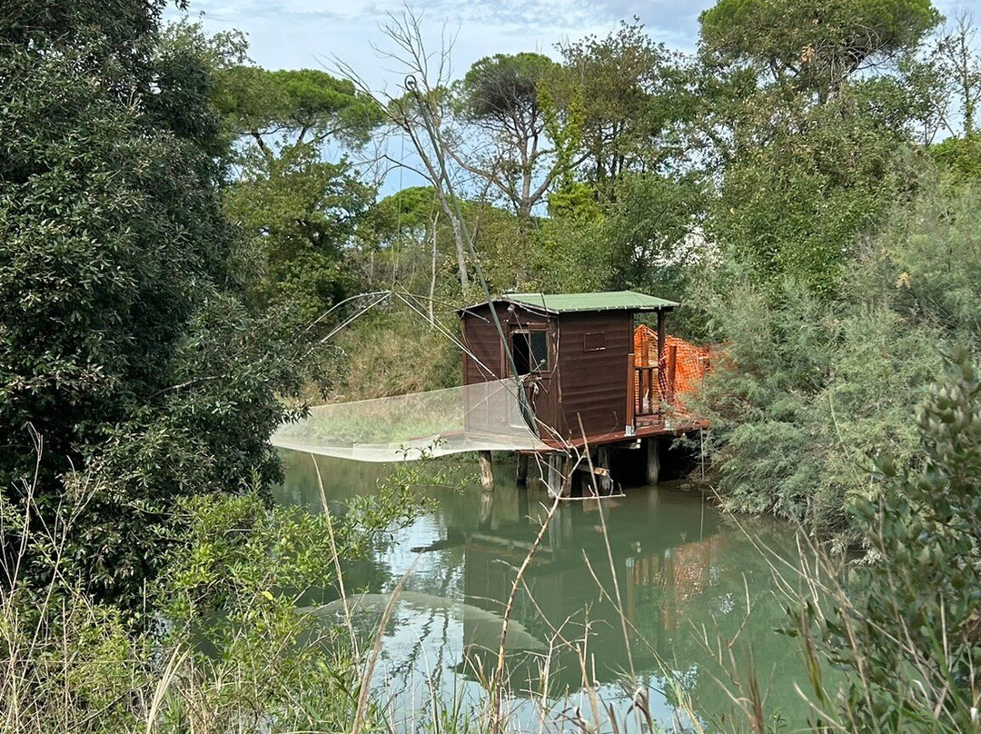 Pineta di Milano Marittima景点图片