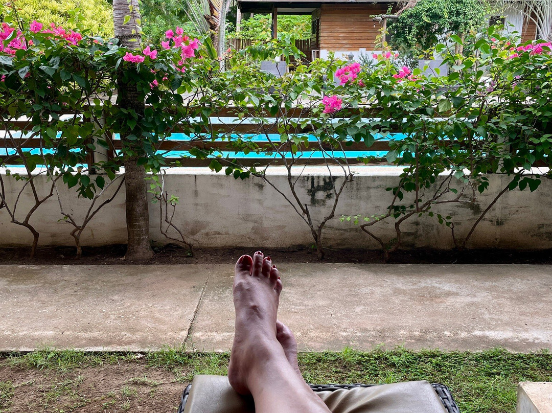 圣诞节度假村主图