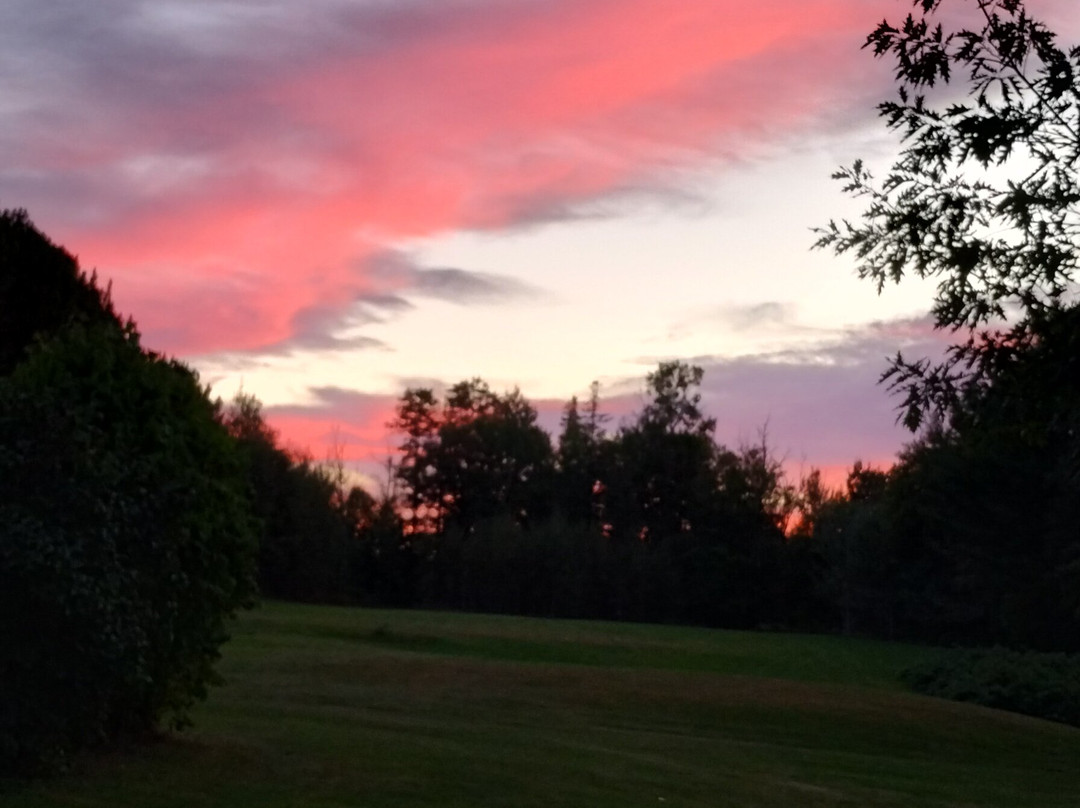 Shamrock Suites & Shamrock Train Suites主图