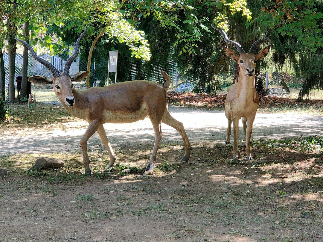 Da Vinci Guesthouse主图