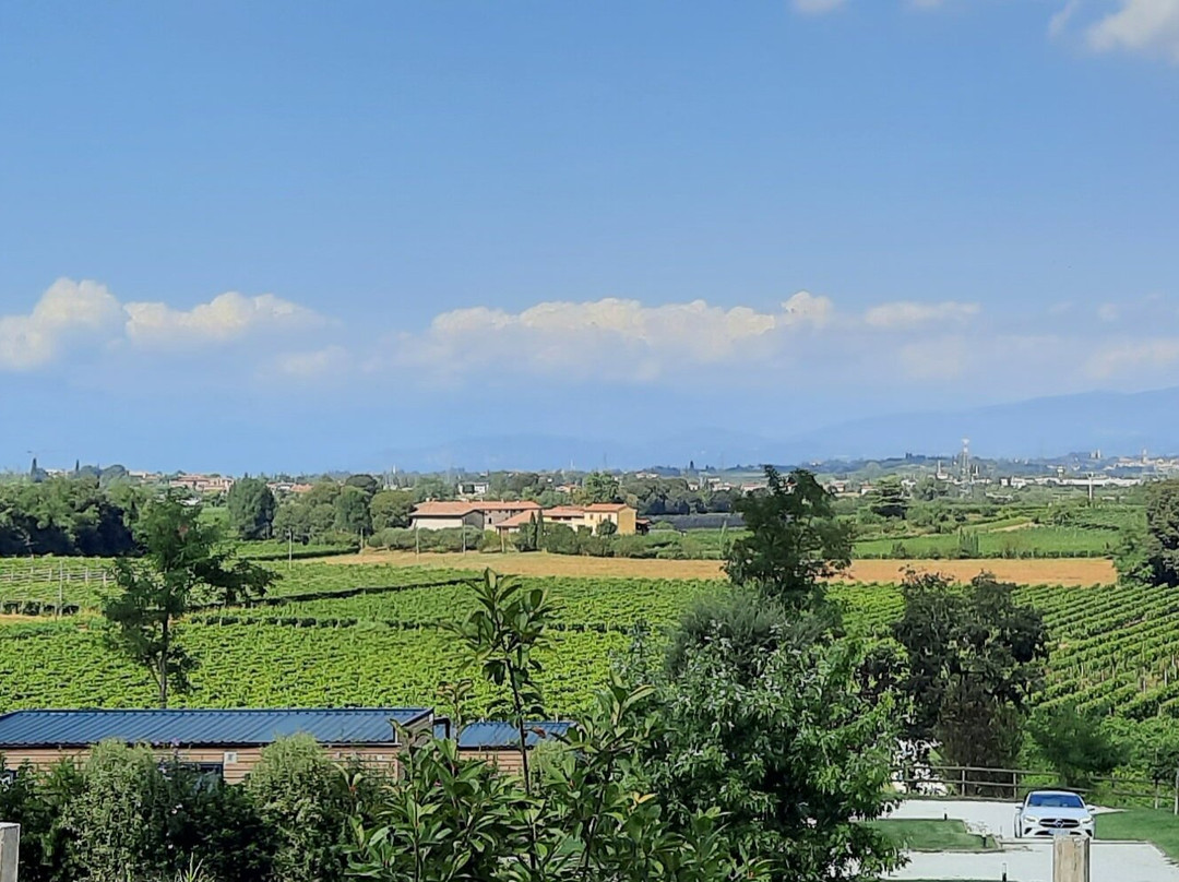 Agriturismo Corte Zenati主图