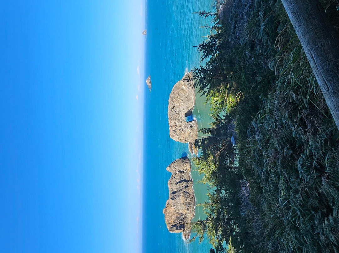 Arch Rock Picnic Area景点图片