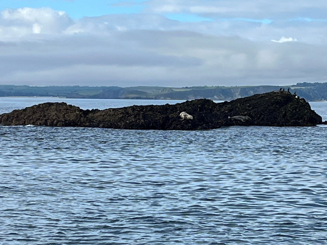 Mevagissey to Fowey Ferry-梅瓦吉西必去景点