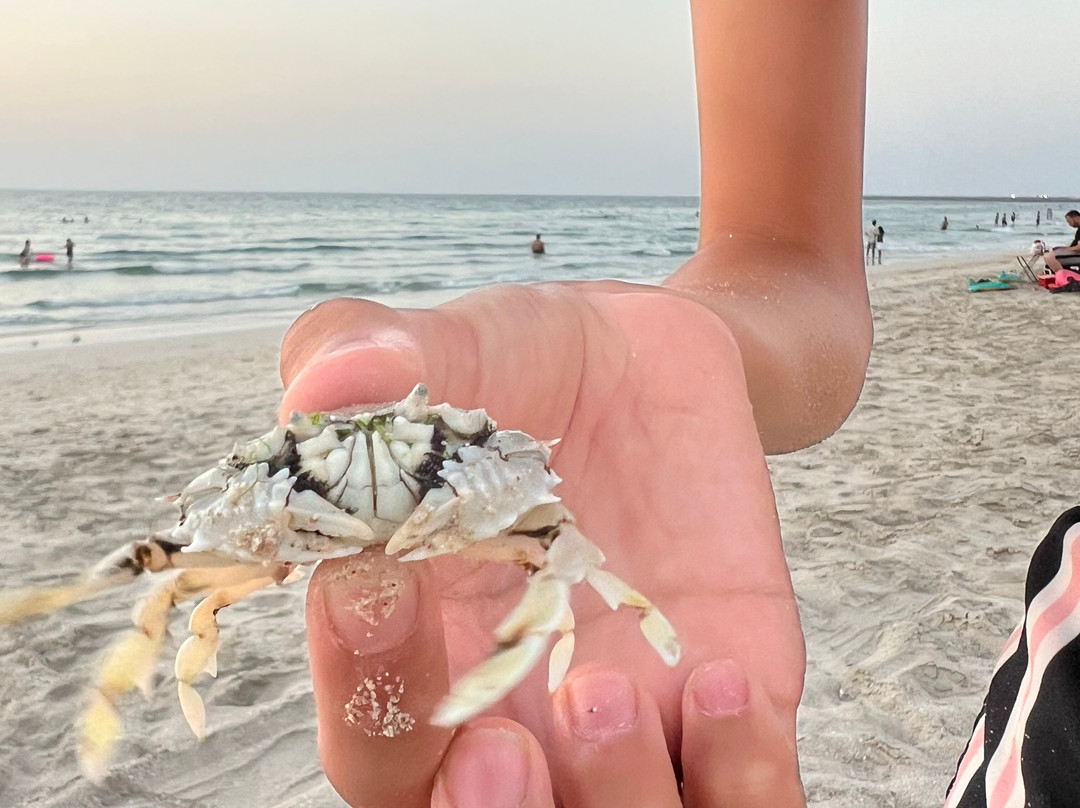 Umm Al Qwain Open Beach-乌姆盖万必去景点