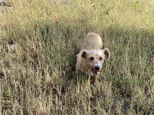 Cerro del Muerto-Morro必去景点