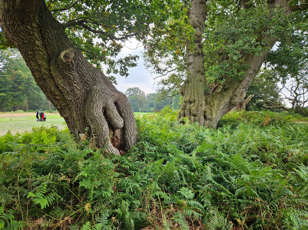 Royal Norwich Golf Club-诺威奇必去景点