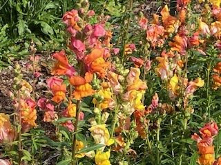 Broadturn Farm-斯卡伯勒必去景点