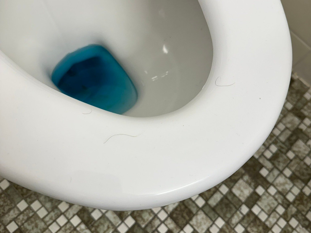 Aspley Motor Inn主图