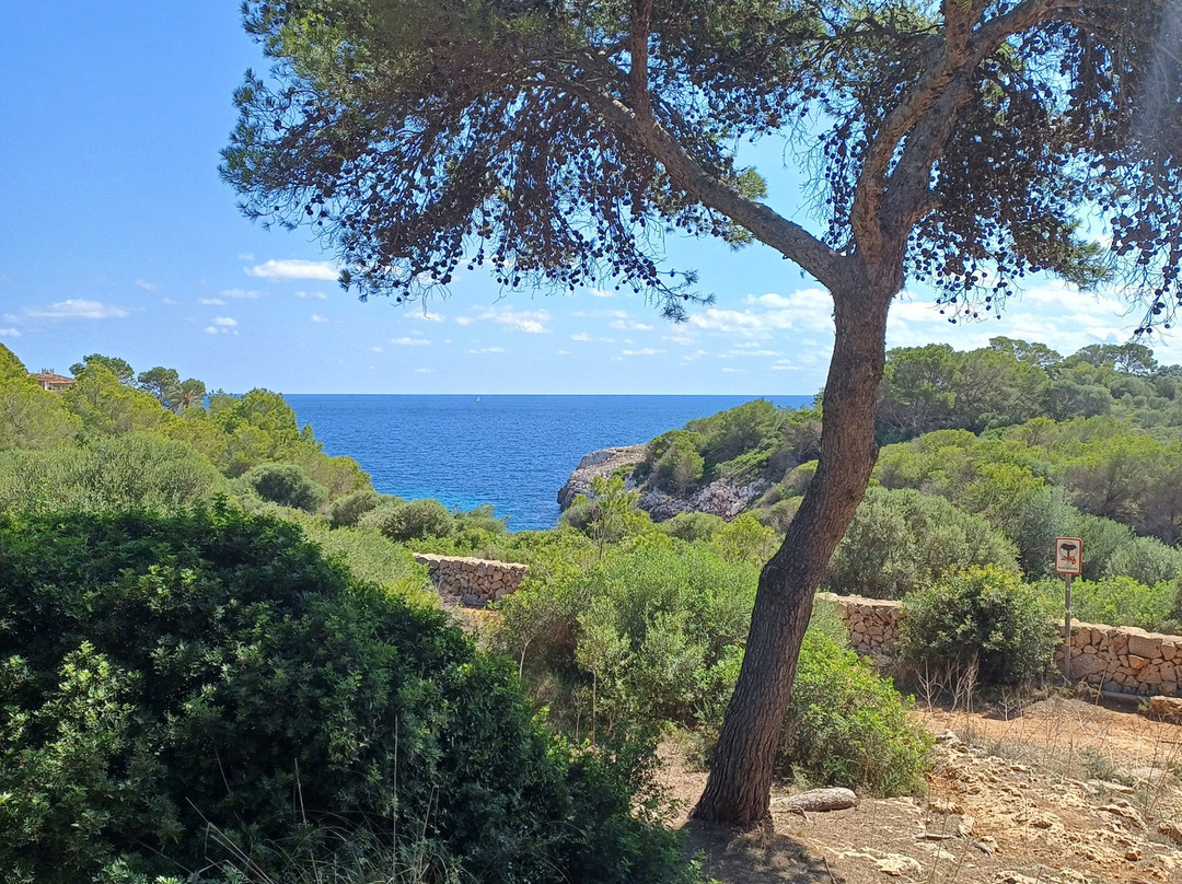 Mallorca Fashion Outlet景点图片