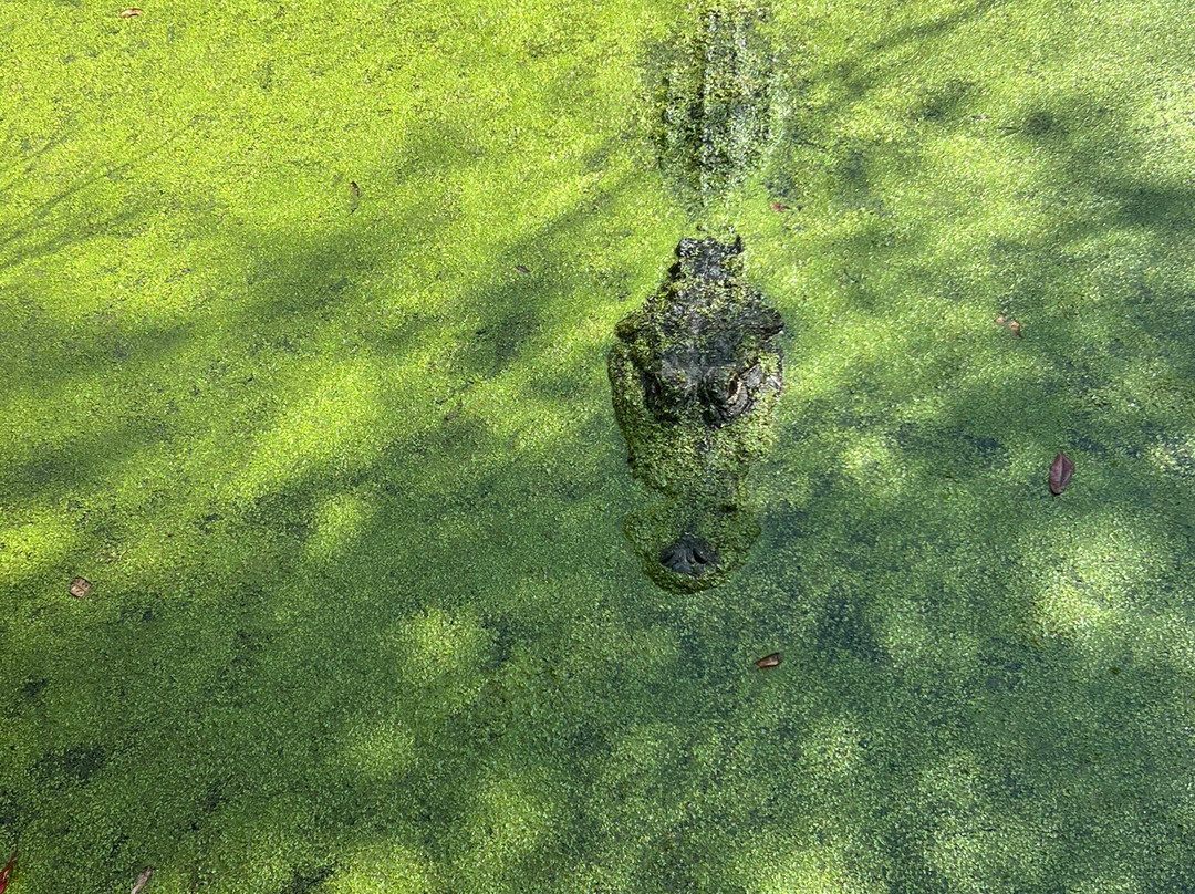 Chehaw Park & Zoo-奥尔巴尼必去景点