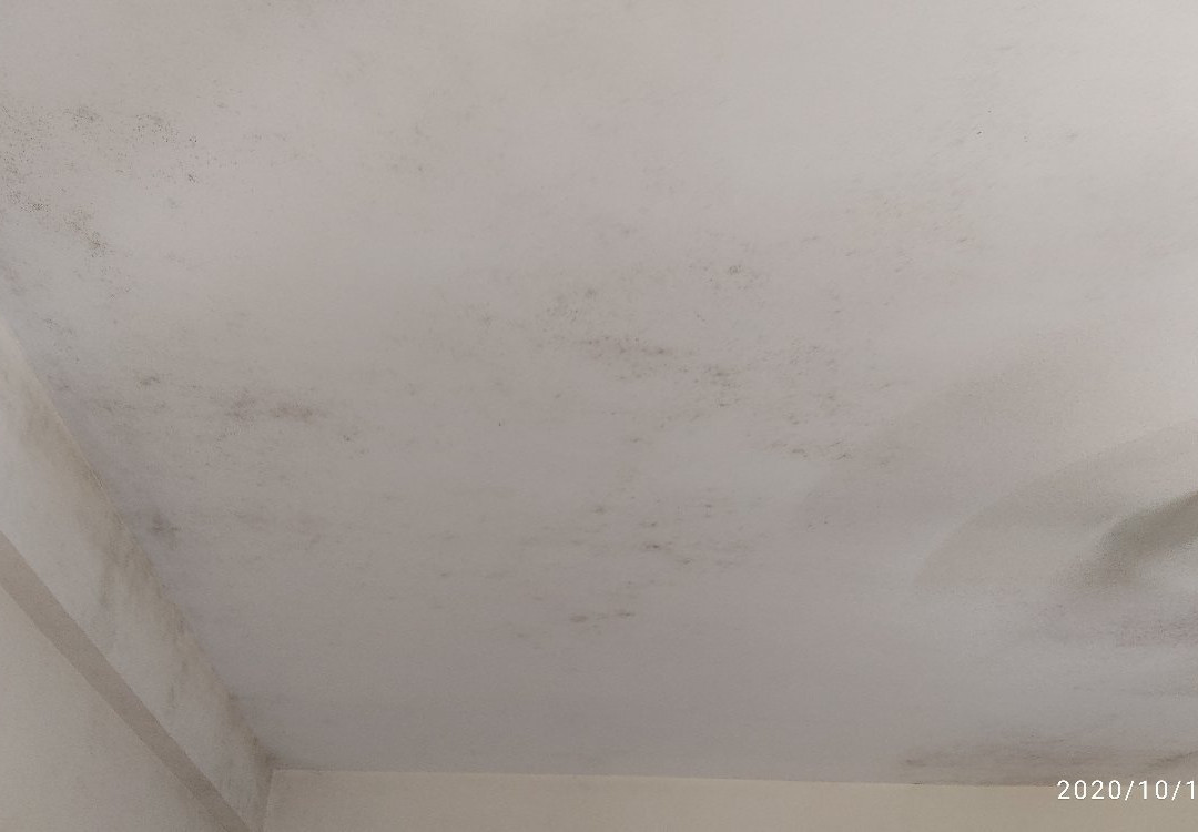 Victoria Beach Resort主图