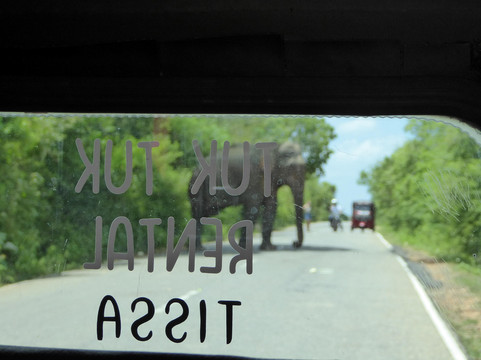 Tuk Tuk Tissa-蒂瑟默哈拉默必去景点