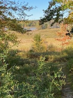 Gilsland Farm Audubon Center景点图片