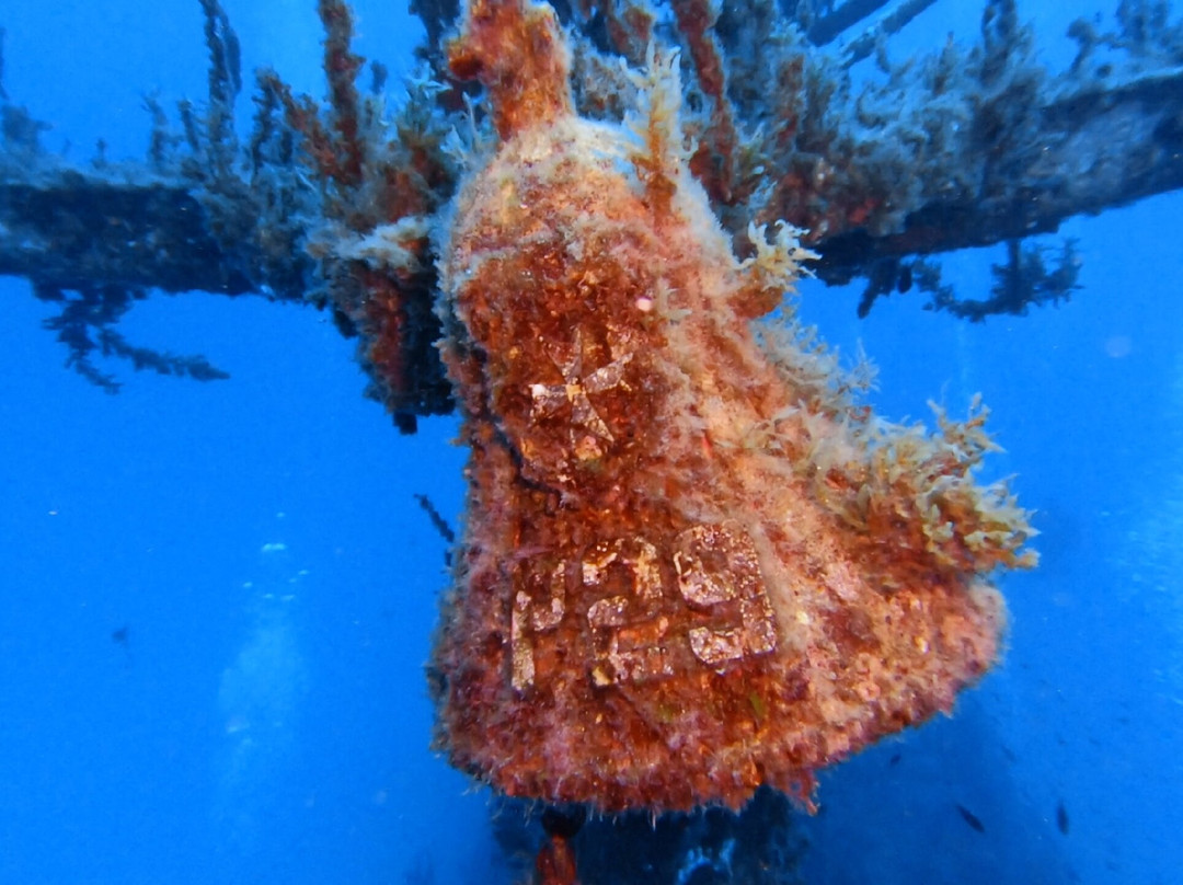 Calypso Diving Centre-Marsalforn必去景点