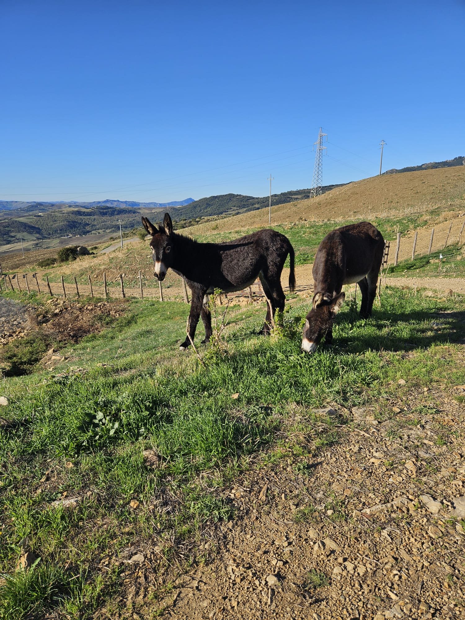 Agriturismo Monte Soprano-浴室