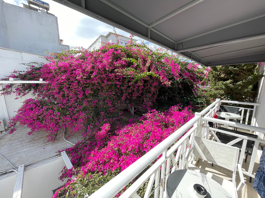 阿波罗精品酒店主图