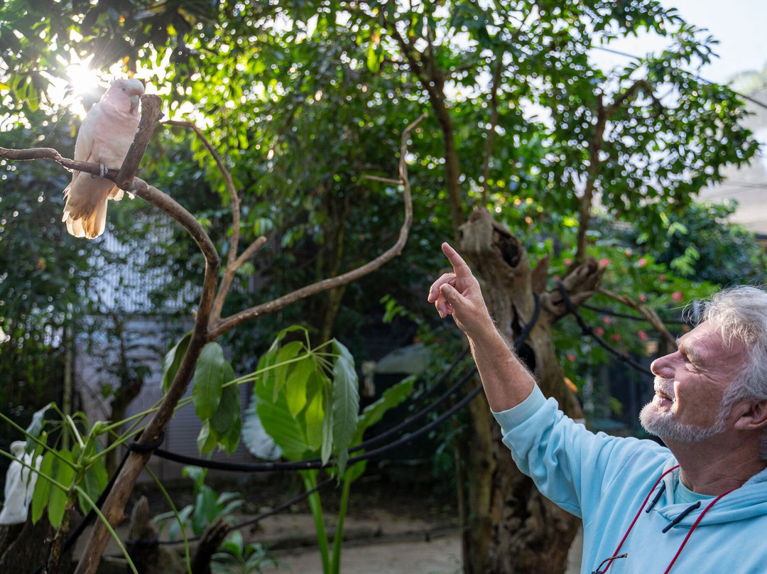 Tropic Wings Cairns Tours-凯恩斯必去景点