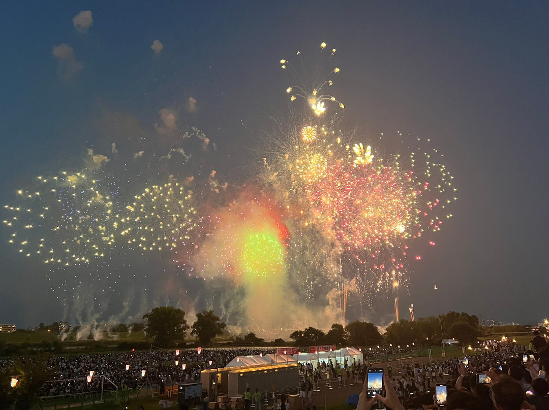 板桥花火大会-板桥区必去景点