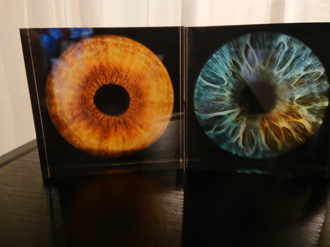 Eyemazy Amsterdam景点图片