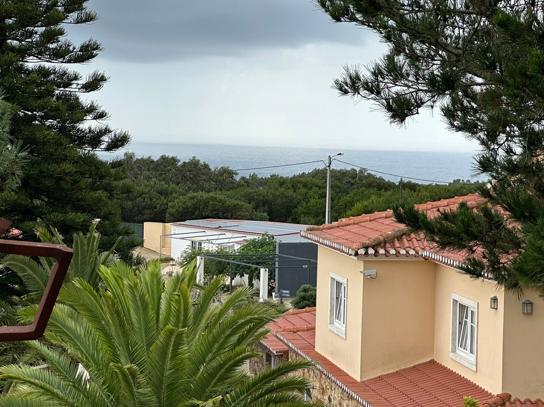 Quinta do Cabo Guesthouse主图