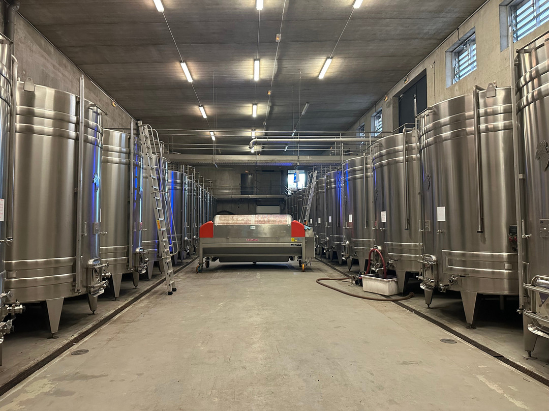 Loire Valley Wine Tour - Day Tours-Chabris必去景点