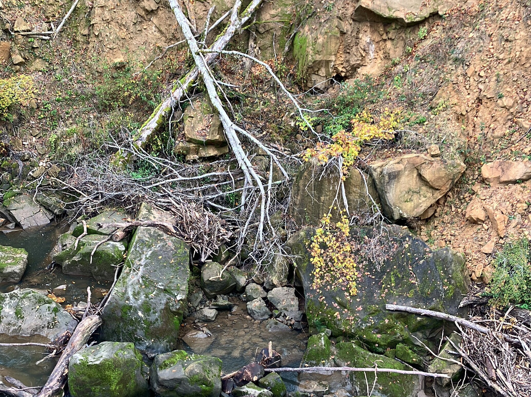 Hängebrücke Irreler Wasserfälle景点图片